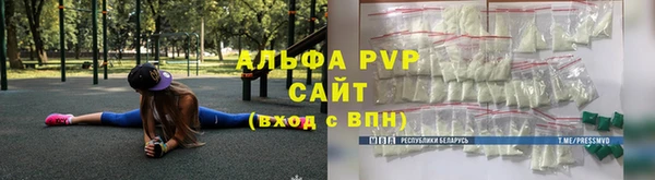 спиды Пересвет