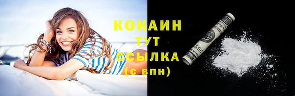 спиды Пересвет
