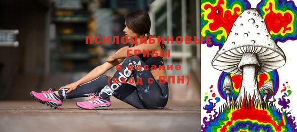 спиды Пересвет
