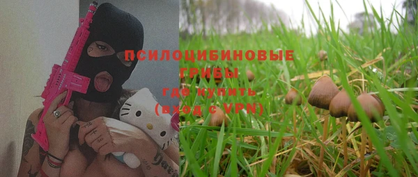 спиды Пересвет